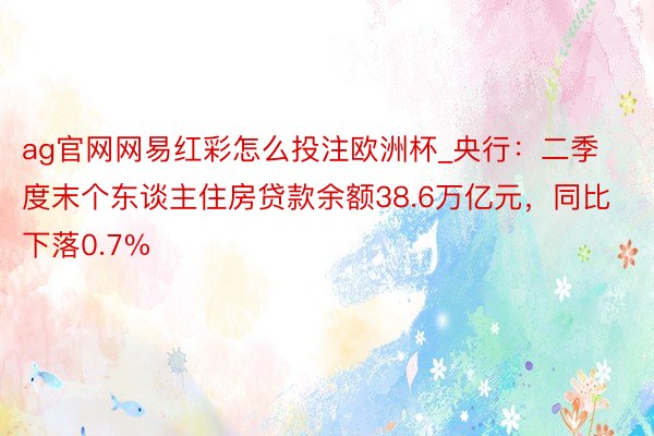 ag官网网易红彩怎么投注欧洲杯_央行：二季度末个东谈主住房贷款余额38.6万亿元，同比下落0.7%