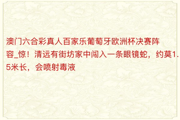 澳门六合彩真人百家乐葡萄牙欧洲杯决赛阵容_惊！清远有街坊家中闯入一条眼镜蛇，约莫1.5米长，会喷射毒液