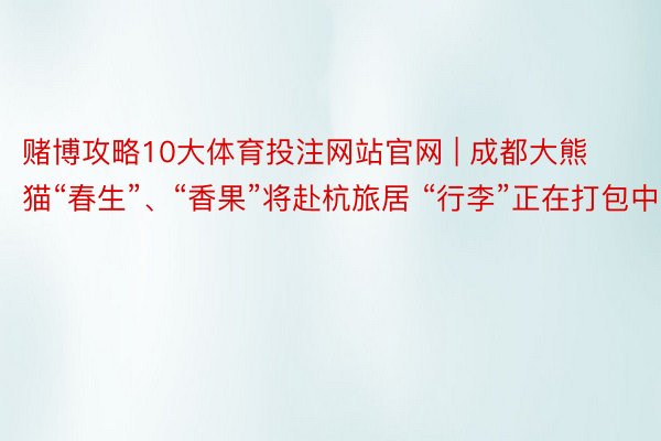 赌博攻略10大体育投注网站官网 | 成都大熊猫“春生”、“香果”将赴杭旅居 “行李”正在打包中