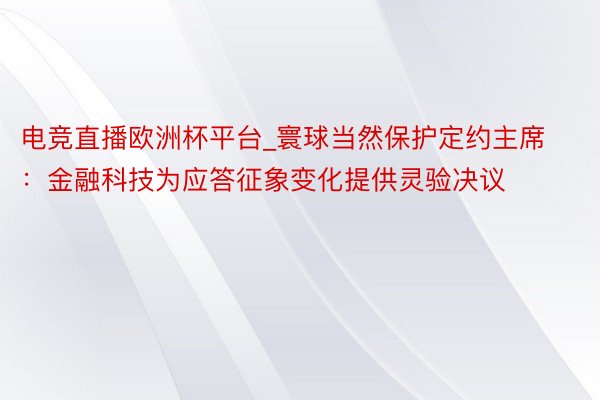 电竞直播欧洲杯平台_寰球当然保护定约主席：金融科技为应答征象变化提供灵验决议