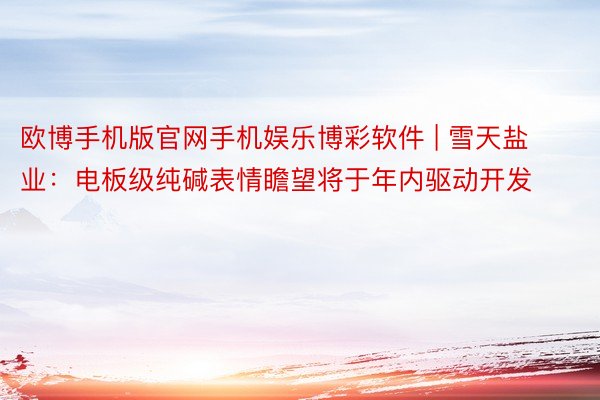 欧博手机版官网手机娱乐博彩软件 | 雪天盐业：电板级纯碱表情瞻望将于年内驱动开发